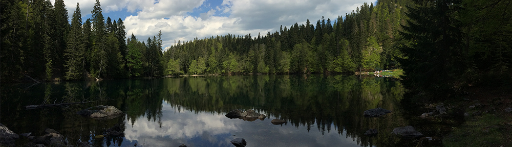 Zabojsko jezero cover